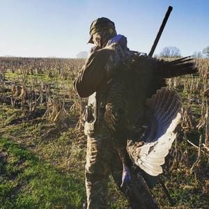 Meet your Posher, Brock